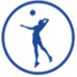 Volley Ball